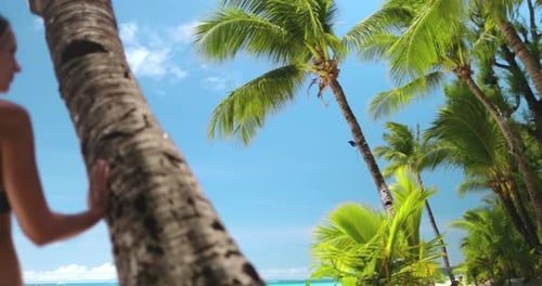 Woman in Bikini Standing By Palm Tree on Boracay Island Beach