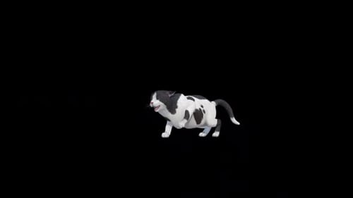 Street Cat Pawn Attack