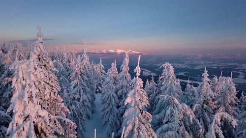 Verschneite Winterwaldlandschaft in gefrorenen Bergen