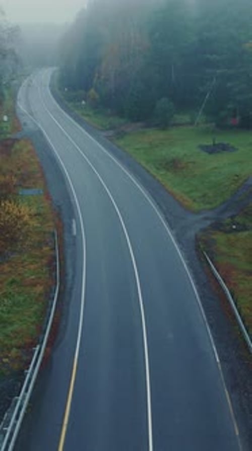 Serene Winding Road Through a Misty Landscape in Autumn Morning Light