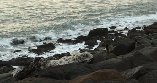 Stones and snag on beach near wavy sea