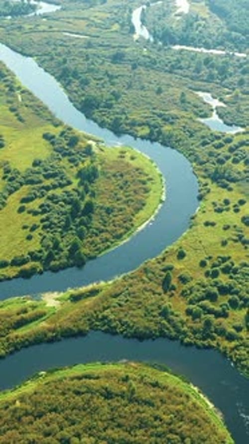 Aerial View Green Forest Woods