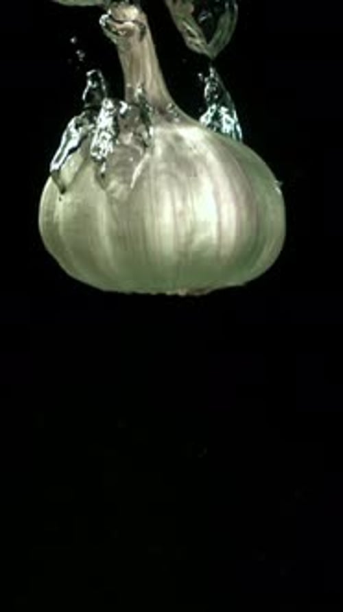 The Heads of Fresh Garlic Fall Under the Water Filmed on a Highspeed Camera at 1000 Fps