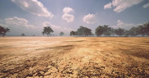 Flying Over a Dry Cracked Earth Landscape with Trees