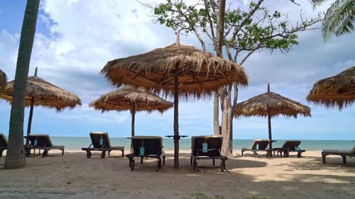 umbrella and beach chair with coconut palm tree and sea beach background and blue sky - holiday and