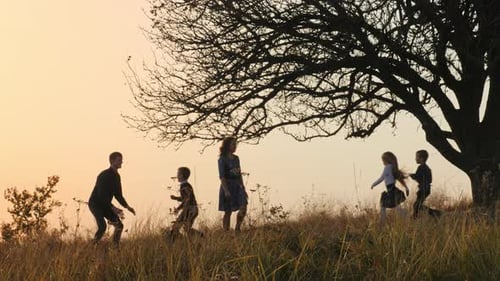 Happy Kids Rushes Into Hands of Parents Parents Hugs Their Kids in the Meadow