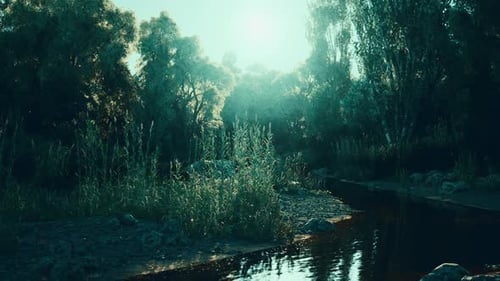 Peaceful River Flowing Through Green Forest Landscape with Sun Rays