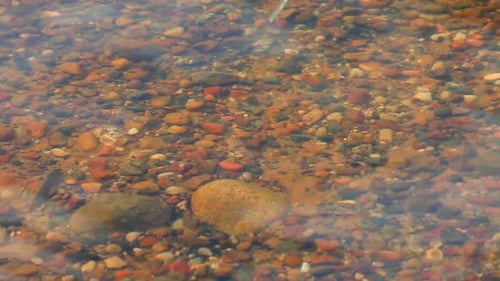 Waves Flowing Over Colorful Rocks in Shallow Stream