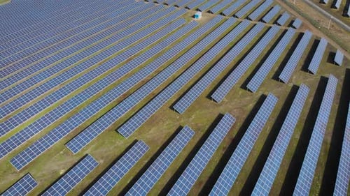 Solar Powerful Station Generates Electric Sun Panels Stand in Row in Fields