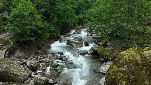 Natural Spring Water Flowing In The Forest