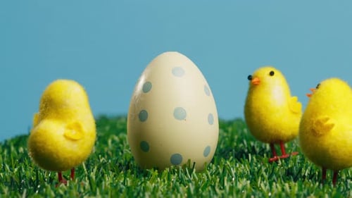 Fluffy Yellow Chicks Surround a Decorated Easter Egg
