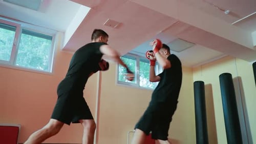 Wrestlers Facing Each Other in Boxing Sparring Session Inside Gym