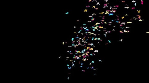 07 Butterfly Cam1 HD