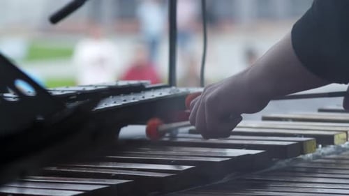 A Talented Musician Passionately Playing a Marimba During an Engaging Live Performance Clip