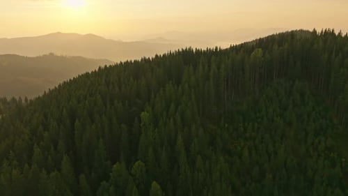 Forest Nature Mountains Dawn Sunrise Landscape Morning Beautiful