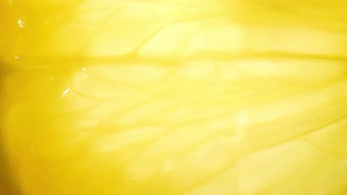 Juicy Citrus Slice Macro Texture