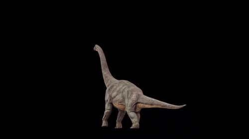 Brachiosaurus Dinosaur Walk Loop