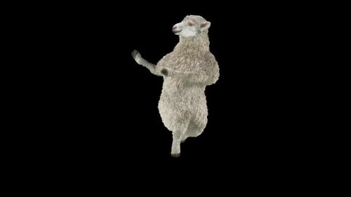 Dancing Sheep Realistic Animal Alpha Channel Animation