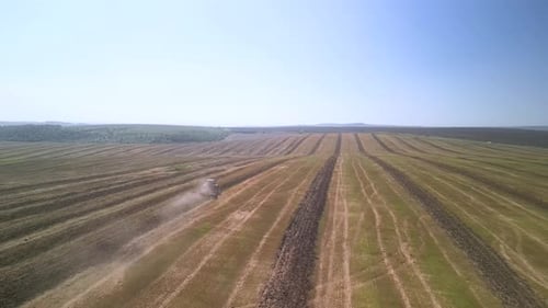 Tractor working on the field doing tillage with cultivator