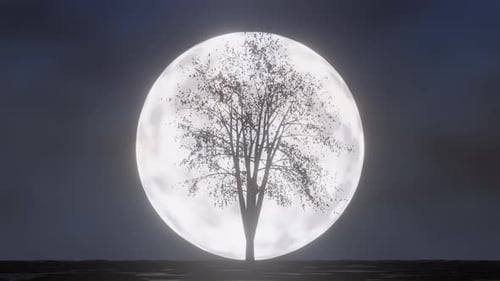 Mystical Glowing Tree Silhouette Against Full Moon Animation
