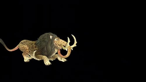 Disparos de animales salvajes de Bakú
