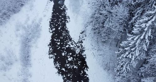 A Serene Winter Landscape Featuring a Snowy River Flanked By Majestic Trees and Nature