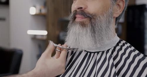 Man with Gray Hair Getting Beard Treatment in Barbershop While Master Using Scissors