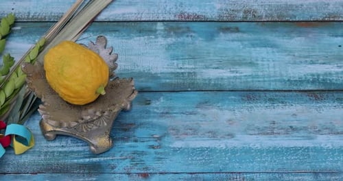 Éléments décoratifs utilisés pour la célébration de Souccot, Etrog, Lulav, Hadas et Arava Certains juifs