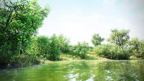 Ruhiges Flussufer unter klarem blauem Himmel 4K