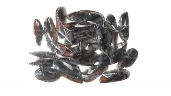 Packaging And Freezing Fresh Mussels, Food Stock Footage ft. vacuum ...