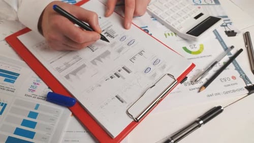 Person Analyzing Business Data on Documents