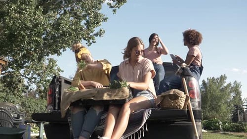 Of Friends with Basket of Fresh Vegetables on Pickup Truck