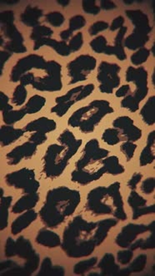Dynamic Leopard Print Animated Background Loop