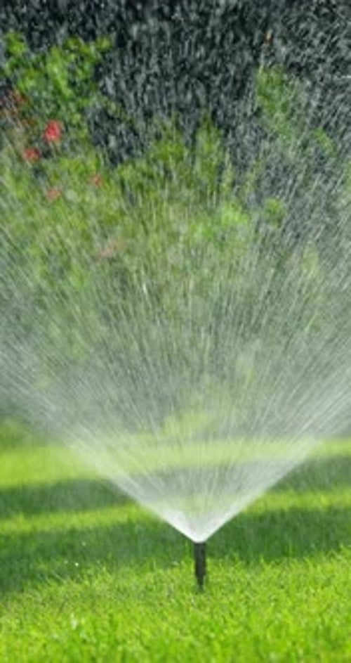 Multiple Automatic Sprinklers Watering the Green Lawn on a Sunny Day