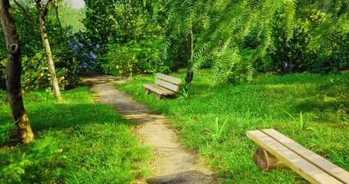 Inviting Pathway Through a Serene Green Park on a Sunny Day