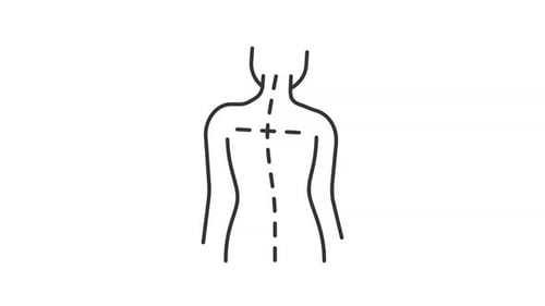 Minimalist Human Back Anatomy Spine Mark Animation