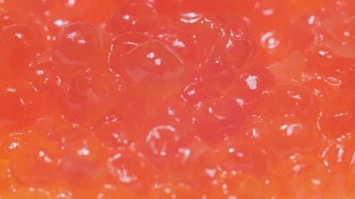 Rotating Red Caviar Macro Video
