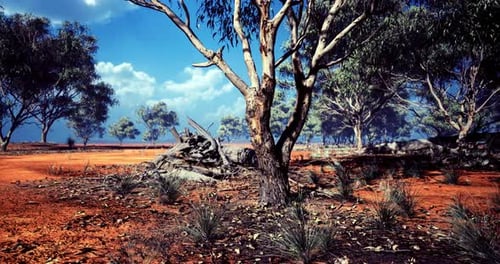 Vast Desert Landscape Under a Clear Blue Sky with Scattered Trees