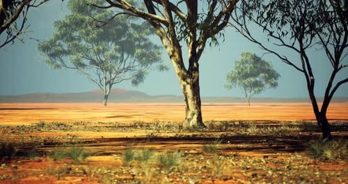 Quiet Landscape with Trees in the Australian Outback During Daytime Hours