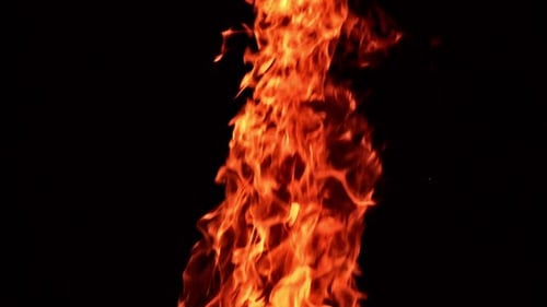Hot dangerous fire burning at night. Close look at the campfire isolated at black background.