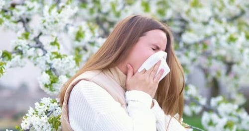Woman Sneezing Due to Spring Allergies in Orchard