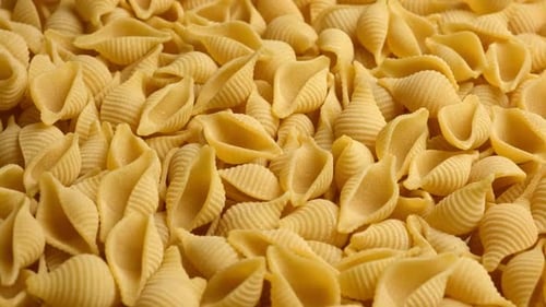 Uncooked Shell Pasta in Close Up Still Life