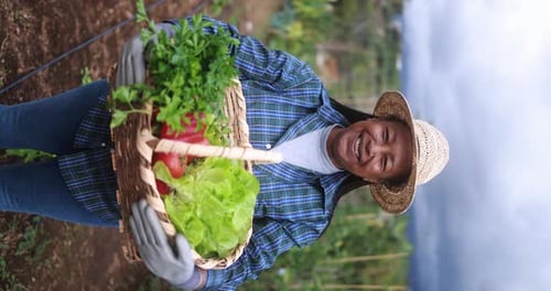 Happy african senior woman holding basket with fresh vegetable - Garden and harvest concept