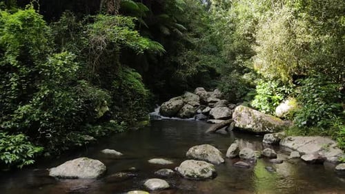 A beautiful tranquil creek slowly flows deep into a tropical jungle retreat. Revealing drone view
