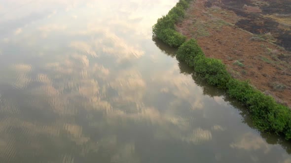 goa divar island drone passing from coconut trees vacation Mercure Goa ...