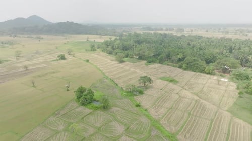Aerial footage of a farm, trees and hills in Sri Lanka.