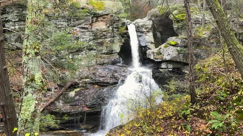 Waterfall Flowing Down Rocky Cliff in Forest