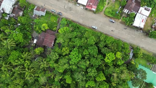 Top View of Rooftops of Shacks Tops of Green Trees and Parked Cars