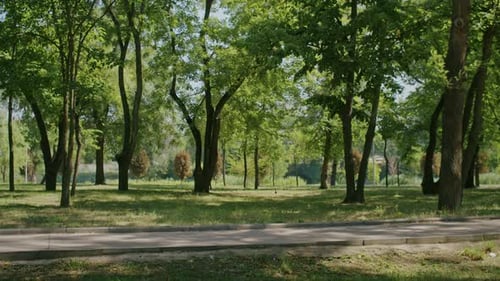 Verspieltes Mädchen genießt den Sommer und fährt mit dem Roller durch den Park und die Straßen der Stadt