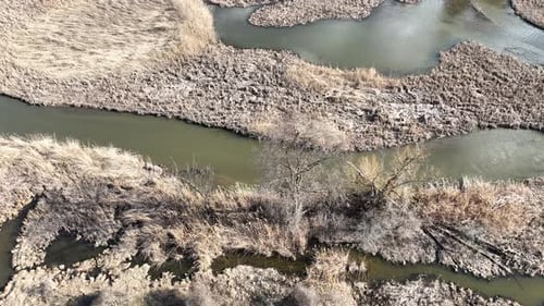 Wasserwiesenbach, der entlang eines Kanals mit braunen Pflanzen fließt
